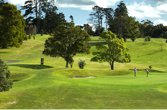 <strong>MAUNGAKIEKIE GOLF CLUB<span><b>in</b>REMODEL </span></strong><i>→</i>