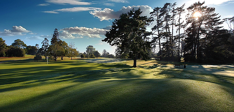 <strong>ROYAL AUCKLAND GOLF CLUB<span><b>view larger</b></span></strong><i>→</i>