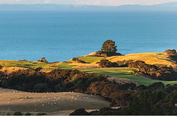 <strong>CAPE KIDNAPPERS<span><b>in</b>IRRIGATION </span></strong><i>→</i>