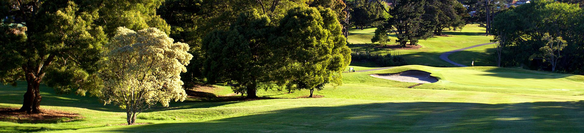 <strong>MAUNGAKIEKIE GOLF CLUB<span><b>view larger</b></span></strong><i>→</i>