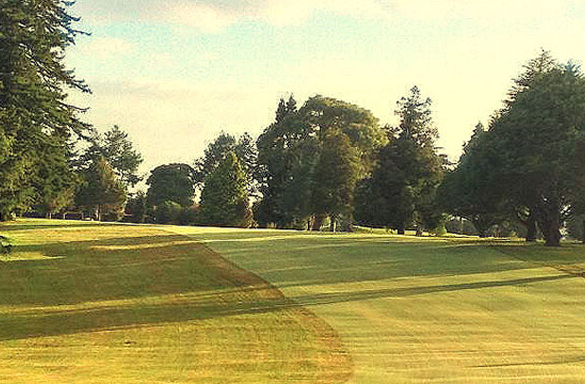 <strong>TAURANGA GOLF CLUB<span><b>in</b>REMODEL </span></strong><i>→</i>